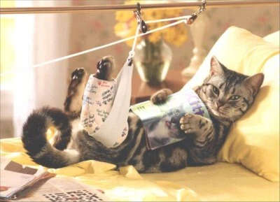 Cat in Traction Get Well Card - Greeting Card by Avanti Press - Image 1 of 2