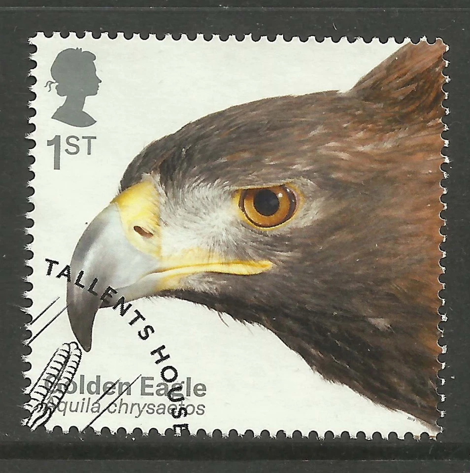 GB 2019 QE2 1st Birds of Prey ' Golden Eagle ' Ex Fdc SG 4204 ( K526 ) - Image 1 of 1