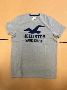 Hollister Wave Crew Gray Color short sleeve for man Size L Free Shipping! - Picture 1 of 4