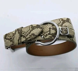 Ralph Lauren Leather Women's Belt Large Double Buckle Runway Hard to Find Snake - Picture 1 of 14
