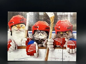 Happy Birthday Humor Hockey Greeting Card w/Envelope - Picture 1 of 5