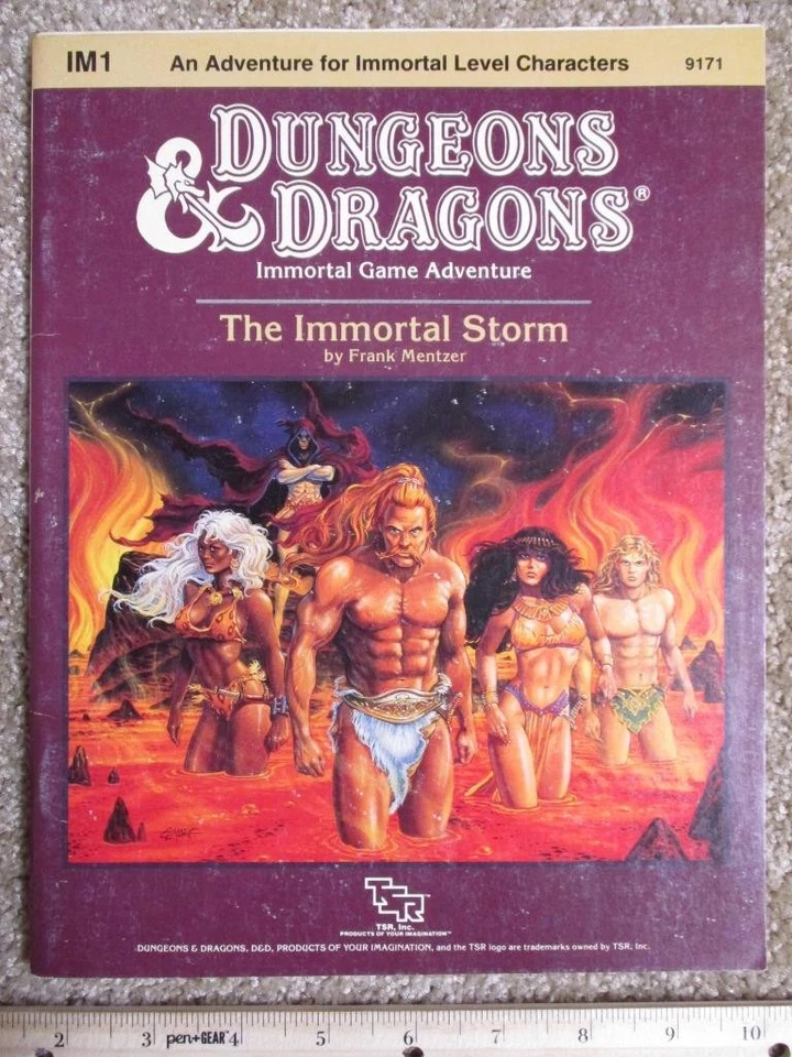 TSR D&D IM1 The Immortal Storm Adventure 1986 Foto 1 de 1