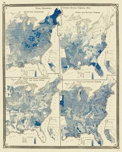 Mappa Storica di Stato - Distribuzione Malattie Stati Uniti - Baskin 1876 - 23 x 28 - Foto 1 di 20