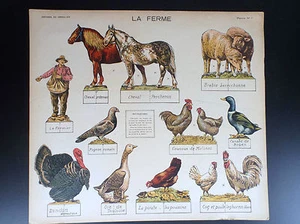 Ancienne planche à découper La ferme Ed du Chevalier animaux  - Picture 1 of 1