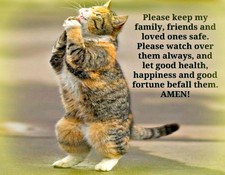Cat (Calico) Praying on 16" Fabric Panel.Actual Cat Picture is 8" x 10". Sale!