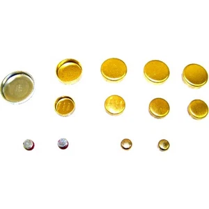 FPS3184 DNJ Set Freeze Plugs for Chevy Olds NINETY EIGHT Le Sabre Cutlass Camaro - Picture 1 of 1