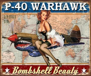 P-40 Warhawk BOMBSHELL BEAUTY Tin Sign wall decor 12.5" x 16" Made in USA - Picture 1 of 2