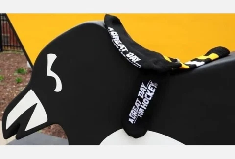 Pittsburgh Penguins Home Game Socks - 2022-2023 charity bag Cover