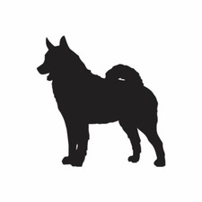 Norwegian Elkhound Dog - Decal Sticker - Multiple Color & Sizes - ebn1985