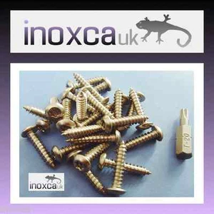 25 4mm x 40mm STAINLESS TORX BUTTON HEAD SELF TAPPING SCREW SECURITY + T20 BIT - Picture 1 of 1