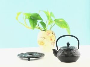 300mL Cast Iron Teapot & Trivet Set w/ S/S Infuser Hobnail Black Kettle Tea Pot 
