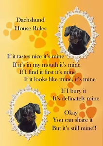 Dackel Comic Hundeschild ""It's Mine"" A4 laminiertes Poster lustiges Geschenk - Bild 1 von 1