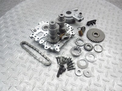 Harley Street Glide 2006 06-13 FLHXI Screamin' Eagle árbol de levas leva placa de soporte Foto 1 de 4