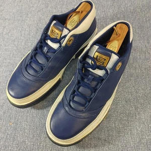 Nike Mens Zoom LeBron Low ST 315837-471 Blue Casual Shoes Sneakers Size 9.5 - Picture 1 of 9