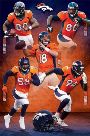 Denver Broncos NFL Team 2014 Rolled Sports Poster Print 22" x 34" Cover