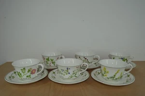 Portmeirion Welsh Wild Flowers - Tea Cup and Saucer x 6 (#37) - Picture 1 of 7