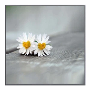 Magnettafel Gänseblümchen Blume Liebe Natur Pflanze LOVE Garten Hochzeit Herz  - Bild 1 von 4