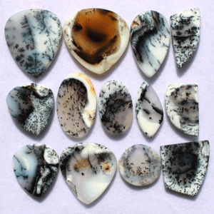 13 Pcs Australian Natural Dendrite Opal 15mm-25mm Slice Cabochon Loose Gemstones - Picture 1 of 11
