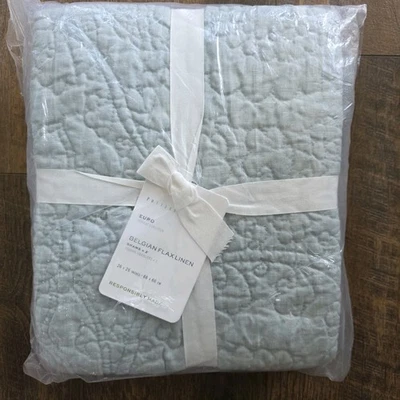 Pottery Barn (2) Belga Lino Punto Floral Acolchado Euro Shams Azul Mineral Foto 1 de 3