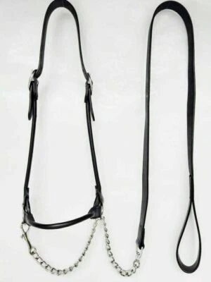 Show Halter With Leather Bling With Silver Fitting horse tack set - Image 1 of 4