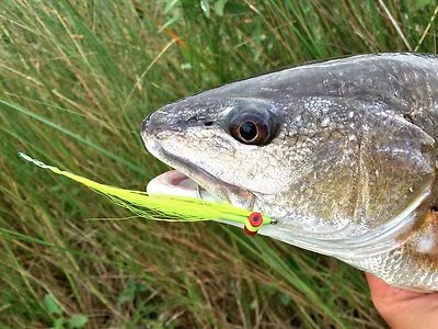 Fly Fishing Flies (Redfish, Trout, Flounder, Bass) Clouser Minnow Chartreuse (6) - Image 1 of 3