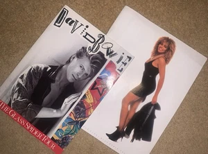 David Bowie + Tina Turner 1987 Tour Programmes (Wembley) - Picture 1 of 5