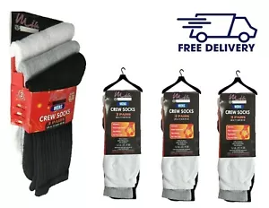 Calze da lavoro 100% cotone da uomo resistenti calde e spesse 3-6-9-12 paia uk 6-11 - Foto 1 di 26
