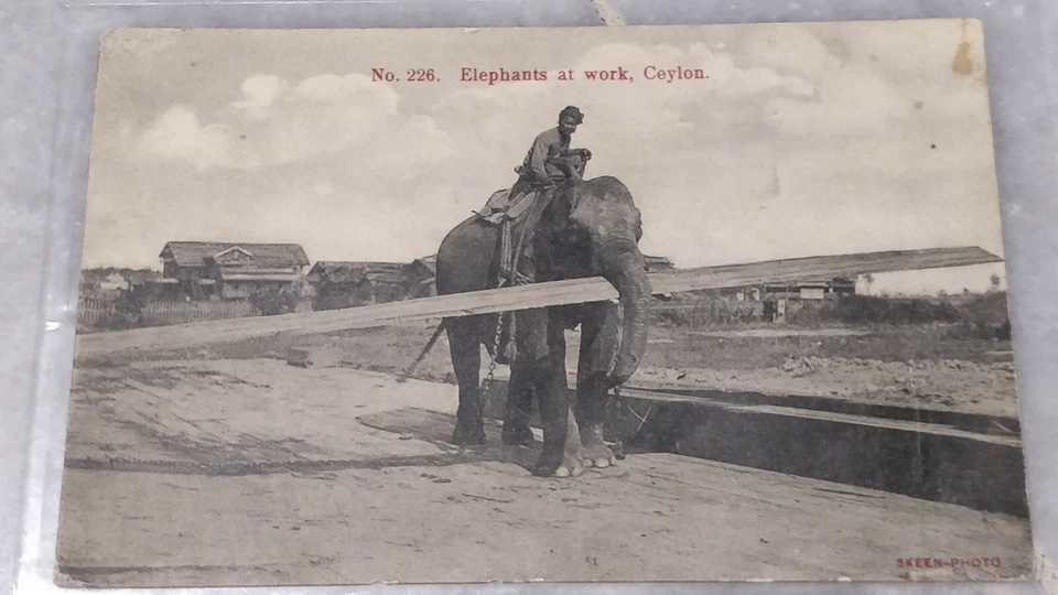 1914 Ceylon No.226 Elephants at Work, King Edward 6c Red Stamp Postcard to Auz - Image 1 of 4