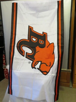 BC Lions Team Flag - Double Sided Graphic - Made in Canada - Image 1 of 4