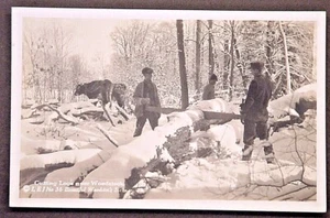 Woodstock NY Real Photo Postcard Cutting Logs w Ox Team by L.E. Jones SHIPS FREE - Picture 1 of 2