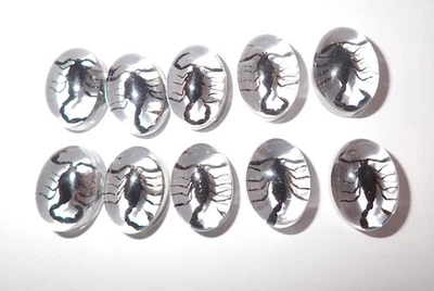 Insect Cabochon Black Scorpion Oval 12x18 mm Clear 100 pieces Lot - Image 1 of 4