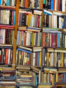 young Reader fiction novel Kid reading book popular title Primary Children books - Picture 1 of 16