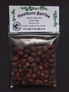 HAWTHORN BERRIES Magickal Herb ~ Purification/Fertility/Love/Protection ~ Pagan
