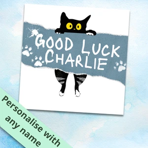 Personalised Cat Good Luck Card - Exam Card, Driving Test Card, Moving out card - Picture 1 of 1