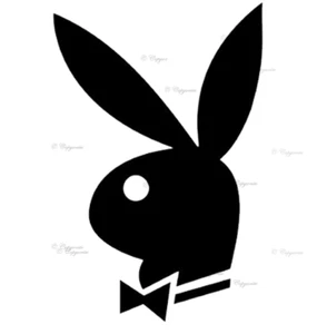 PlayBoy Logo Car Body Window Bumper Vinyl Decal Sticker - Picture 1 of 13