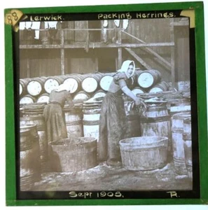 Lerwick Embalaje Arenque 1905 Vidrio Linterna Mágica Diapositiva Fotógrafo T Roberts - Imagen 1 de 1
