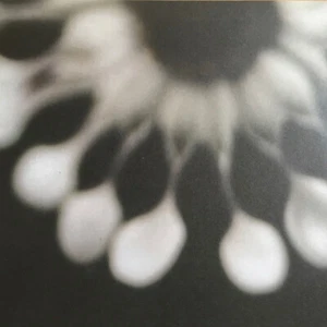 n / Bergen / Vinyl / Avantgarde/Experimental / Genesungswerk / Germany - Imagen 1 de 3