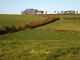 Photo 6x4 Bridleway between hedges north of Burrow Burston The double hed c2012 Photo 6x4 Bridleway between hedges north of Burrow Burston The double hed c2012