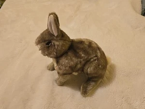 Plush Realistic Folkmanis Cottontail Rabbit Hand Puppet EUC Fast Shipping  - Picture 1 of 8