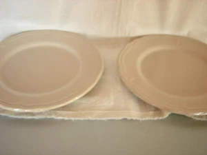NWT Citrus Grove Set Of 2 Luncheon Plates- Tan  8.5”-Far East Brokers - Picture 1 of 3