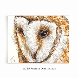 ACEO Print of Original Art Bird, Barn Owl, Collectible Card, Miniature Art Card - Picture 1 of 1