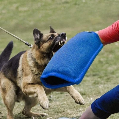Manga Mordedura de Perro Entrenamiento de Yute Tirador Brazo Protección Azul 1 Piezas Duradero Foto 1 de 4
