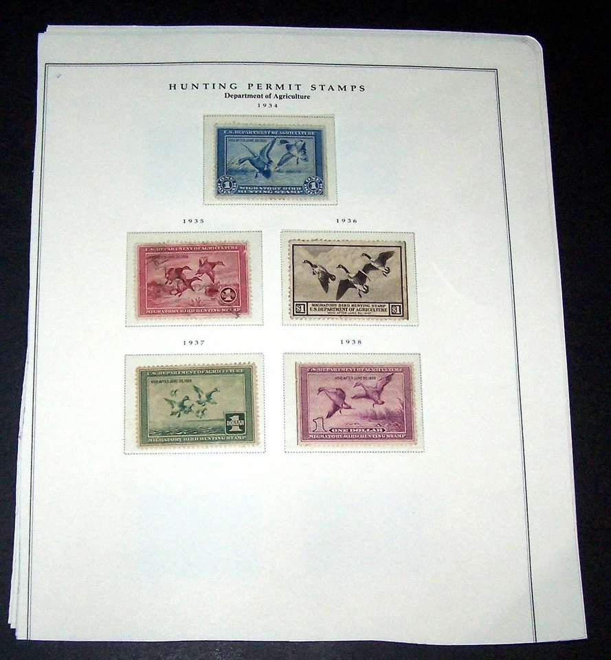 U.S. #RW1-41 Mint or Used Complete - 1934-74 Duck Stamp Collection ($1,400) - Image 1 of 1