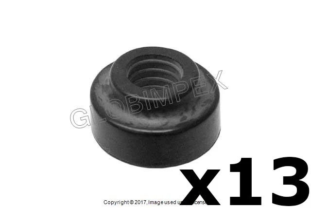 BMW M3 Z3 Z4 (2001-2008) Tapa Válvula Tuerca Sello (Juego de 13) ELRING KLINGER  Foto 1 de 1