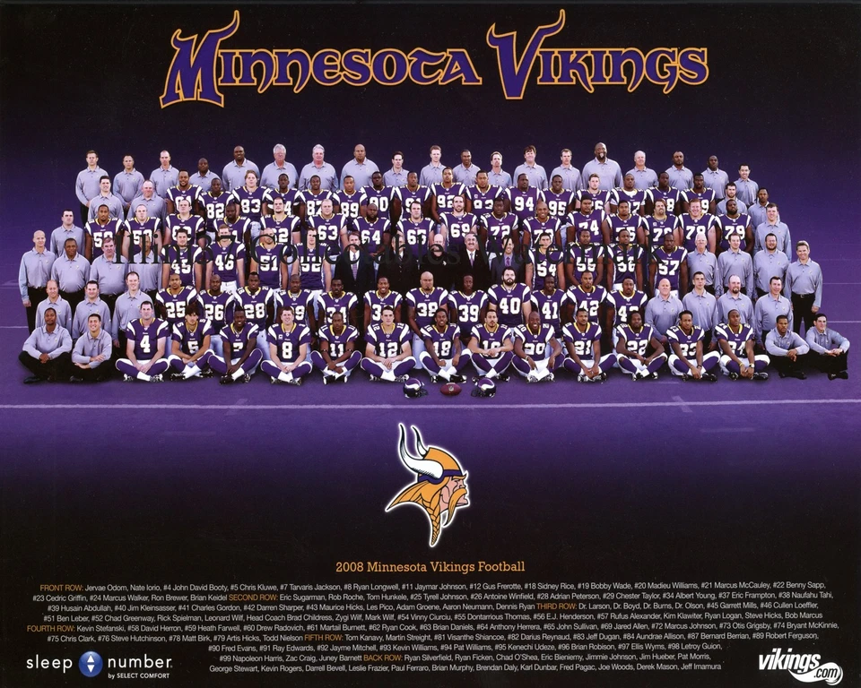Foto 8x10 del equipo de fútbol americano de la NFL Minnesota Vikings 2008 Foto 1 de 1