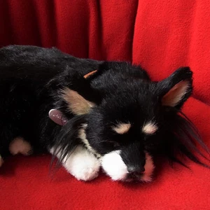 Perfect Pet Black & Tan Chihuahua Dog Plush Toy Stuffed Toy Realistic New - Picture 1 of 5
