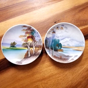 Pair of VINTAGE Decorative Plates Hand Painted Wall Plates Miniature Landscape - Picture 1 of 8