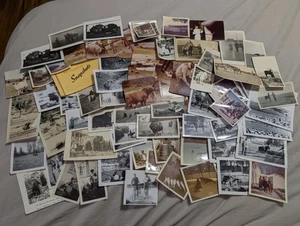 Rare Vintage Horse Animal Snapshot Photo Lot 1910s-1980s USA Horse Elephant Seal - Picture 1 of 24