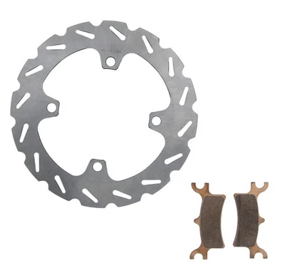 Rotor de freno trasero RipTide y pastillas de freno para Polaris Sportsman 700 EFI 2007 Foto 1 de 4