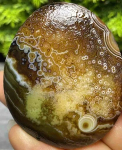 Natural Mongolia Gobi Agate Eyes Agate Stone Collection Specimen - Imagen 1 de 5